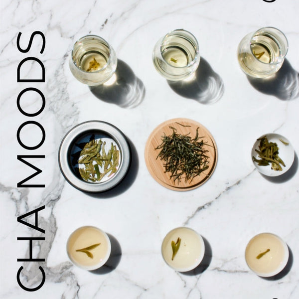 2023 First Flush Green Tea Tasting  Event Tickets- Cha Moods